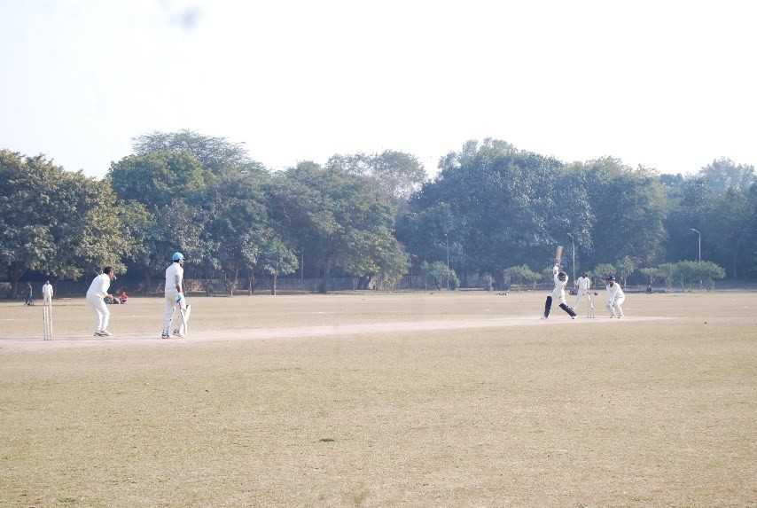 Cricket